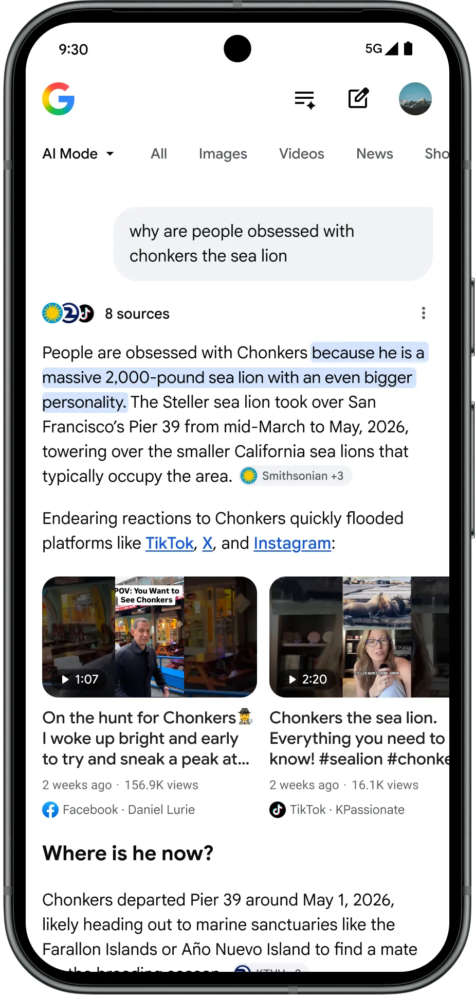 Google AI response 中展示论坛、社交媒体与视频观点的示意图